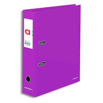 Pasta Arquivo L/ L Ambar School c/ Rado Roxo Pack.10